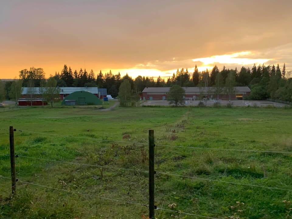 Filipstads Ridklubb i juli 2024