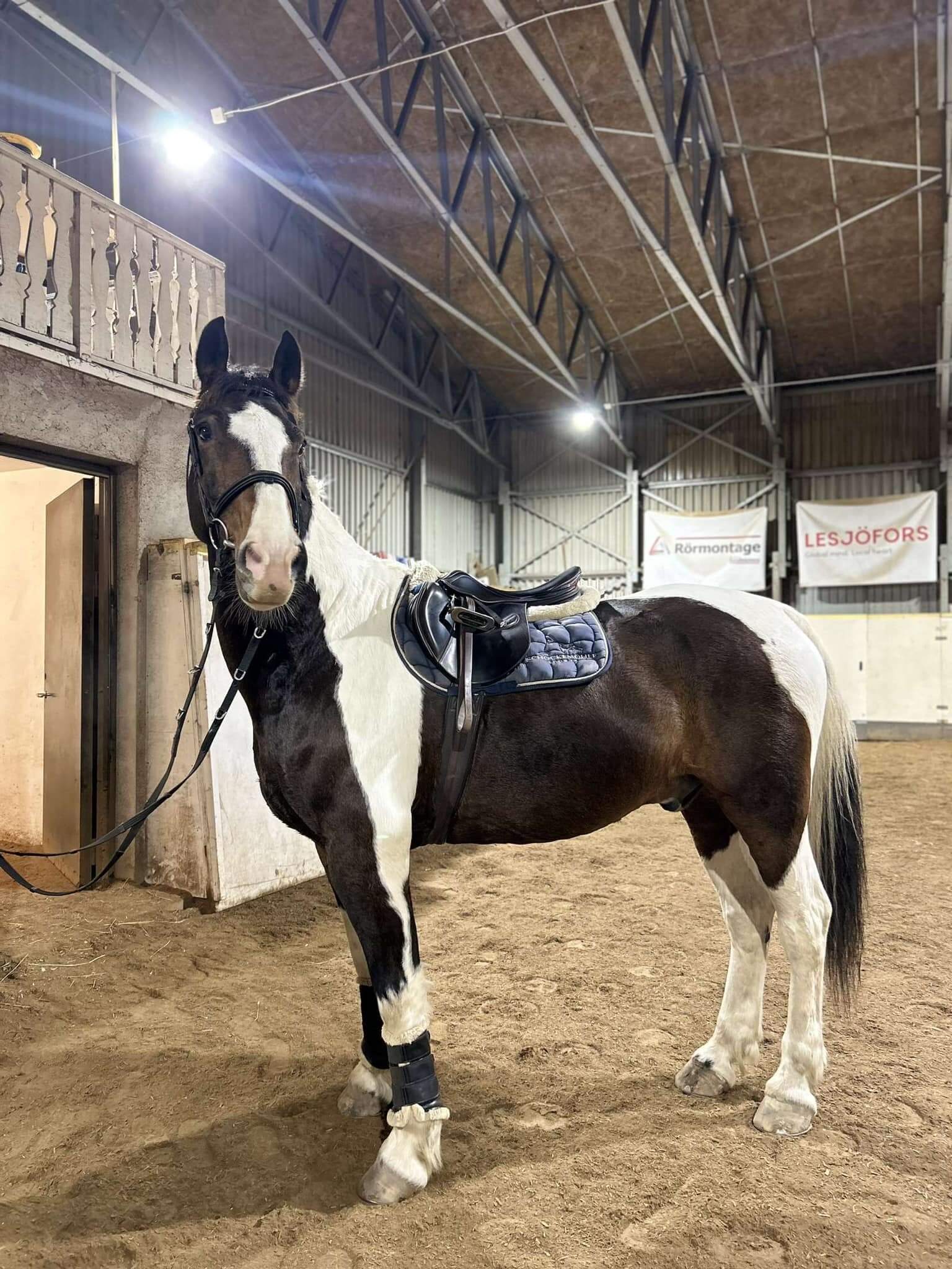 Vårterminen har rullat igång