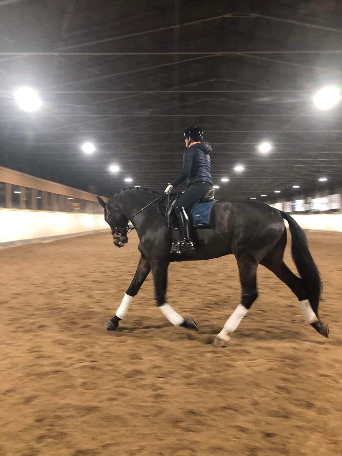 Ekipage tränar i ridhuset Filipstads Ridklubb