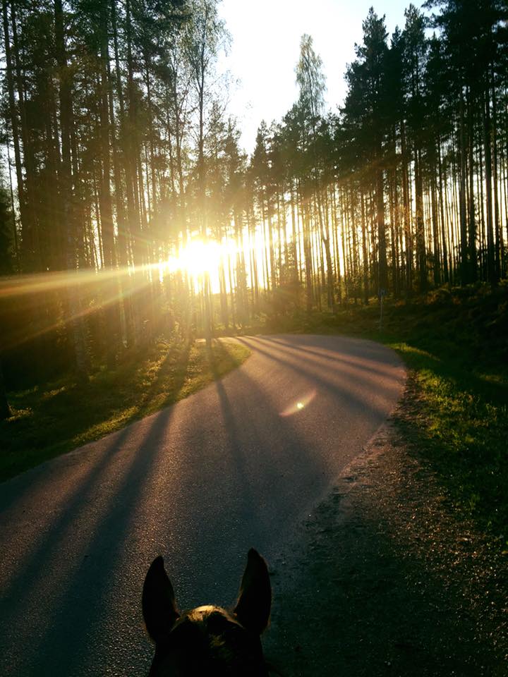 Vacker uteritt hos Filipstads Ridklubb